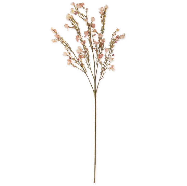 White Chamelaucium Spray