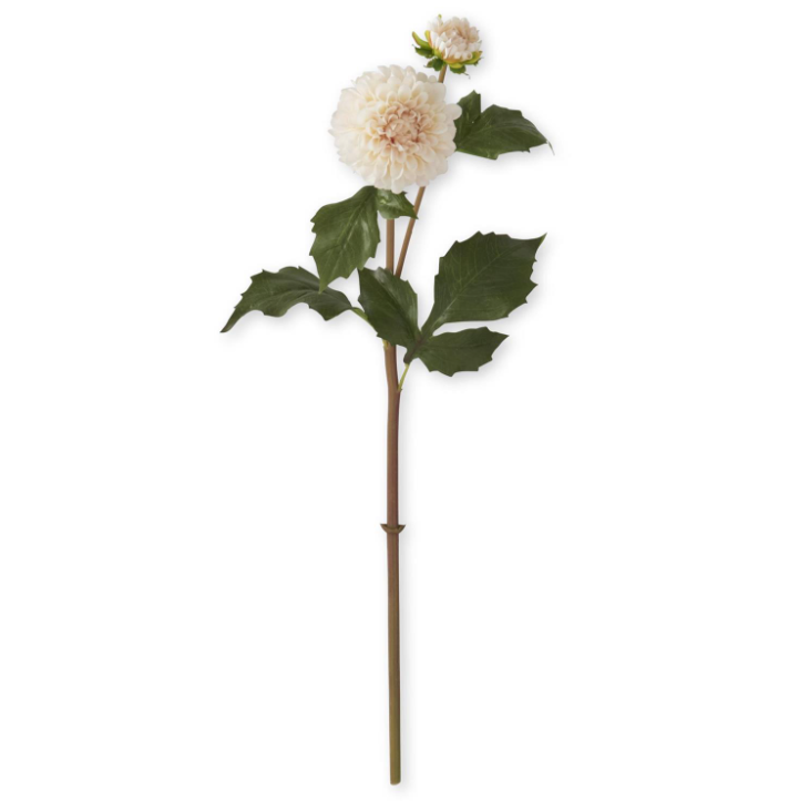 Cream Real Touch Dahlia Bud & Bloom