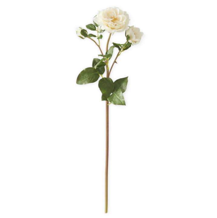 Cream Real Touch Drum Rose Spray