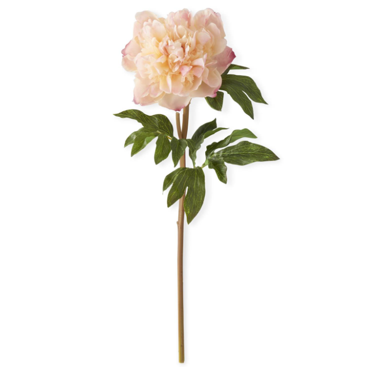 Coral Charm Real Touch Peony Stem