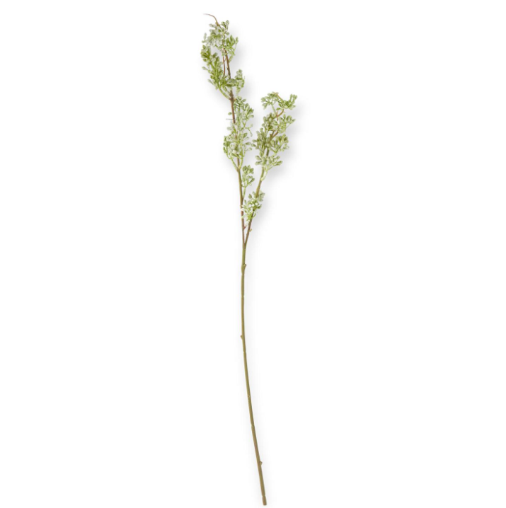 Powdered Green Eucalyptus Berry Bud Stem