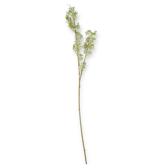 Powdered Green Eucalyptus Berry Bud Stem