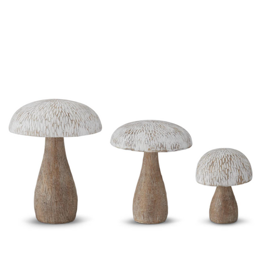 Woodgrain Whitewashed Mushroom - LG