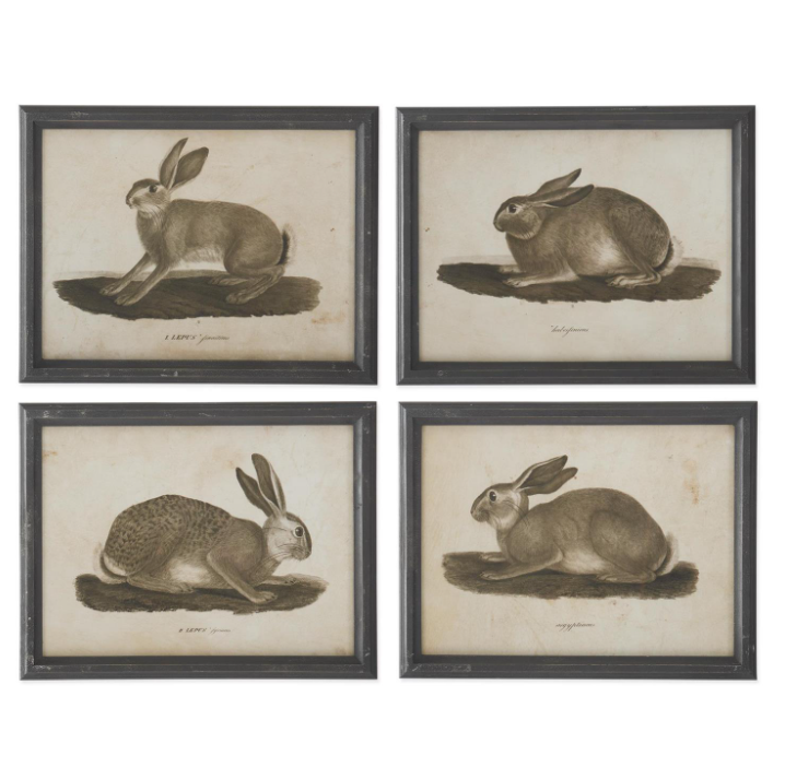 Black Wood Framed Rabbit Print - 4 STYLES
