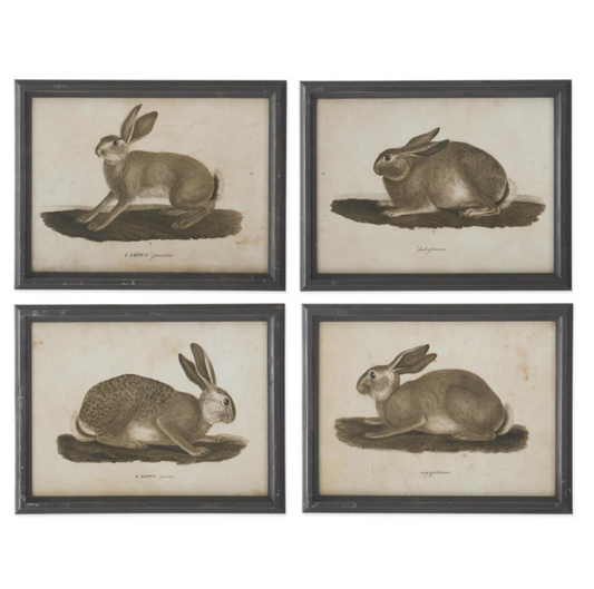 Black Wood Framed Rabbit Print - 4 STYLES