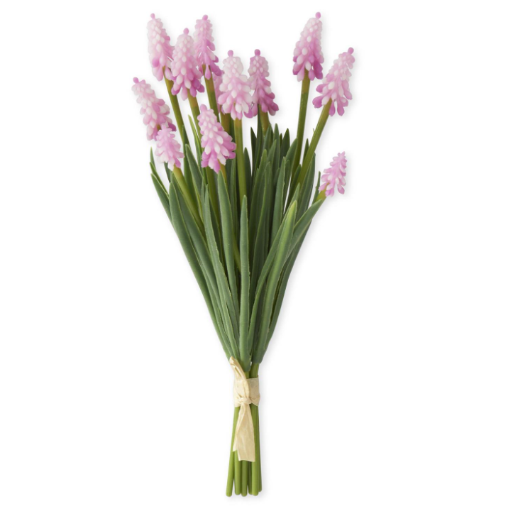 Dark Pink Grape Hyacinth Bundle