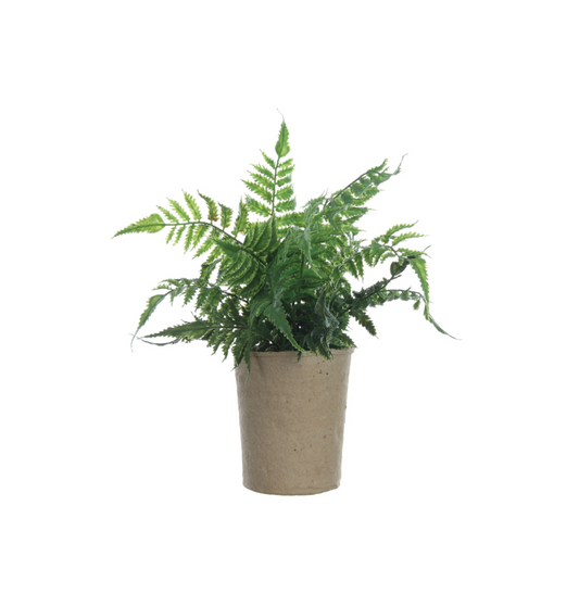 Faux Fern in Paper Pot