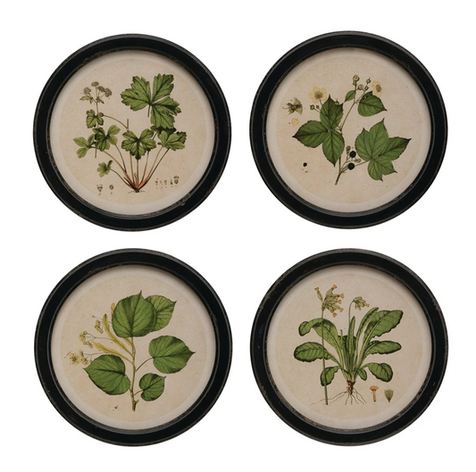 RND Vintage Botanical Wall Decor
