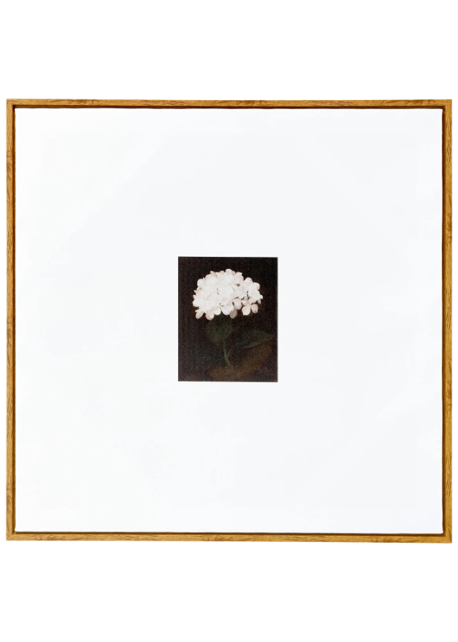 Framed Dahlia Wall Art