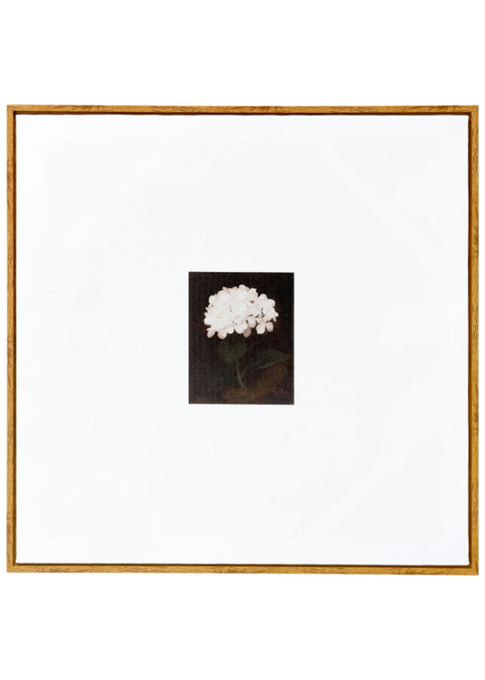 Framed Dahlia Wall Art
