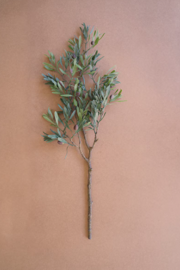 32" Olive Branch