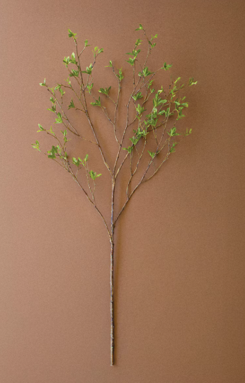 Budding Leaf Spray