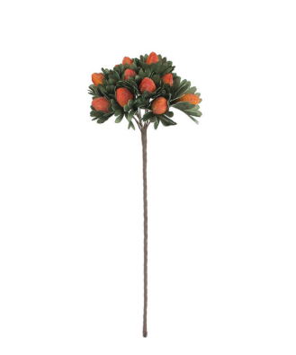 Orange Bud Botanica