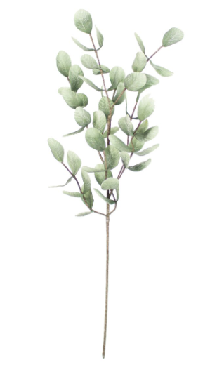 Leafy Sprig Botanica