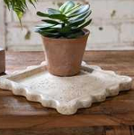 7.7" Cement Scallop Tray