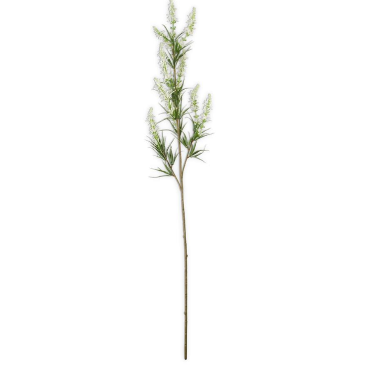 White Golden Rod Stem