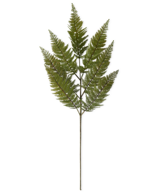 36" Fern Stem