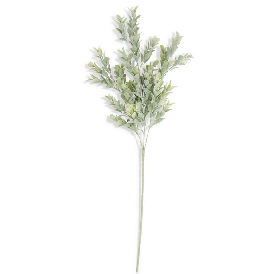 Powdered Boxwood Stem