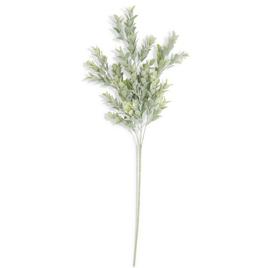 Powdered Boxwood Stem