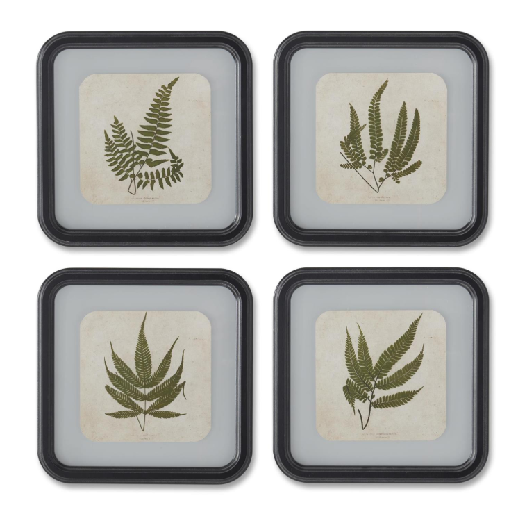 VNTG Fern Print w/ Rounded SQ Frame