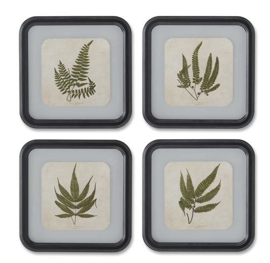 VNTG Fern Print w/ Rounded SQ Frame