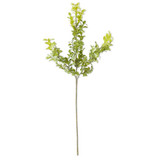 Green + Cream Mini Leaves Spray