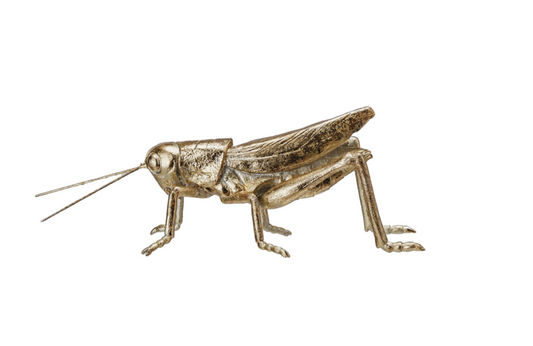Resin & Metal Grasshopper