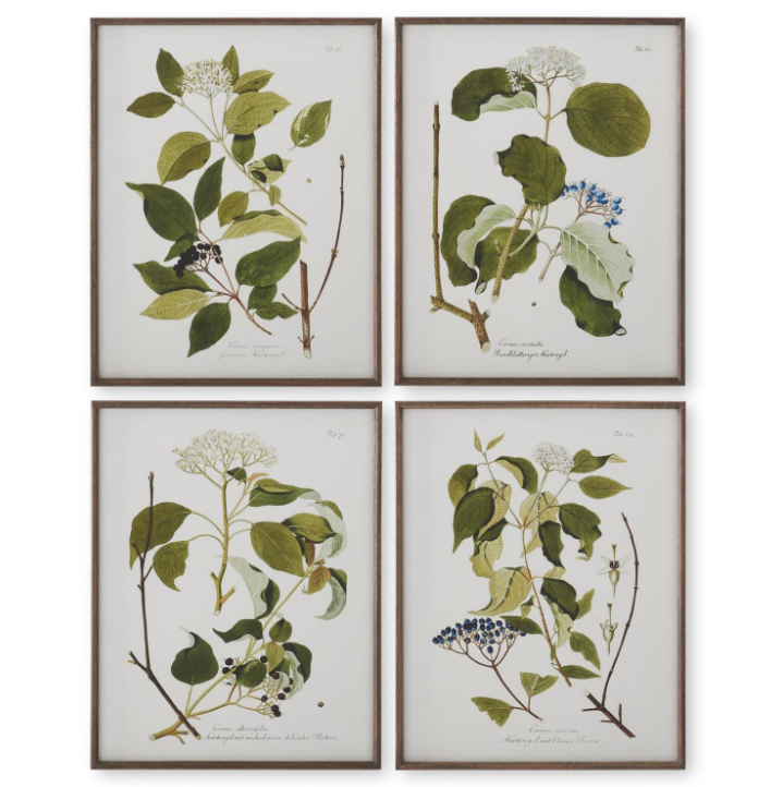 Dark Wood Framed Botanical Art - 4 STYLES