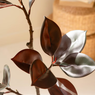Real-Touch Rubber Tree in Pot