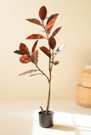 Real-Touch Rubber Tree in Pot