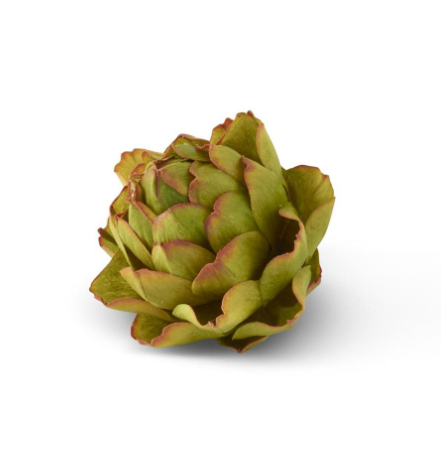 Artichoke