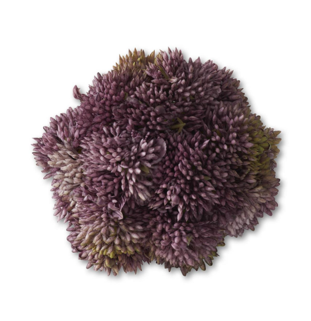 Dark Purple Sedum Ball