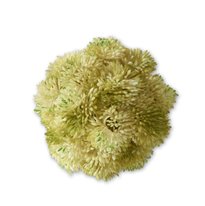 Light Green Sedum Ball