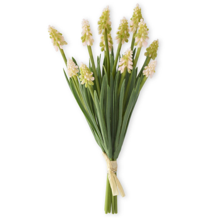 LT PNK Grape Hyacinth Bundle