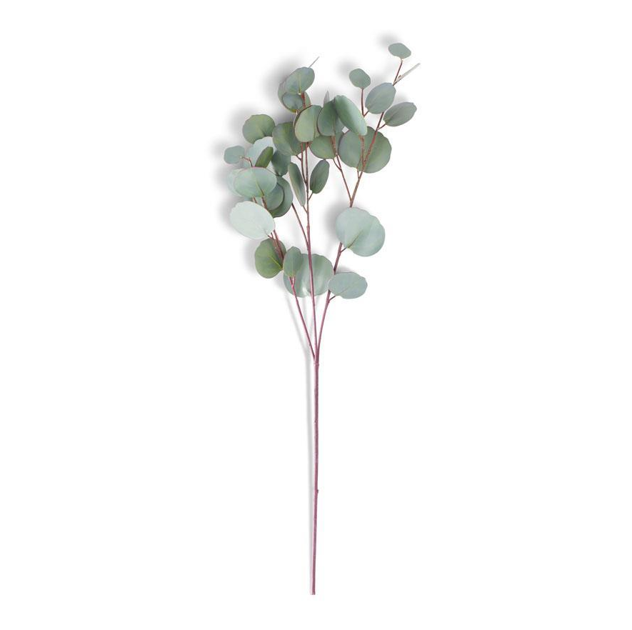 Seeded Eucalyptus Spray