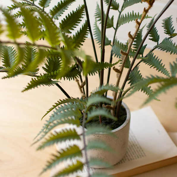 Faux Potted Fern
