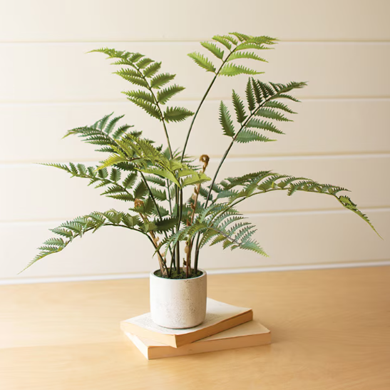 Faux Potted Fern