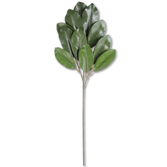 Green Magnolia Spray
