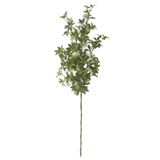 White Tea Leaf Spray
