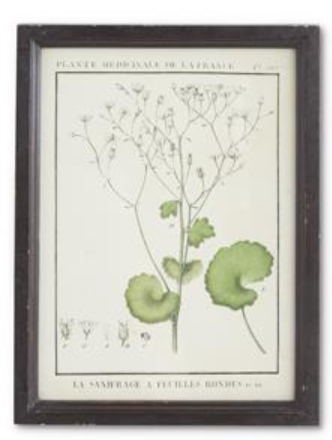 Wood Framed Botanical Print - E