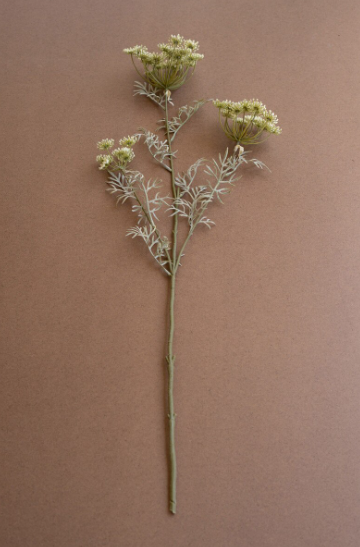 Lace Flower Spray