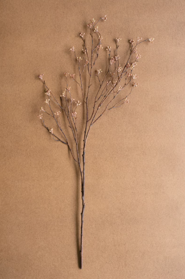 Budding Branch Stem