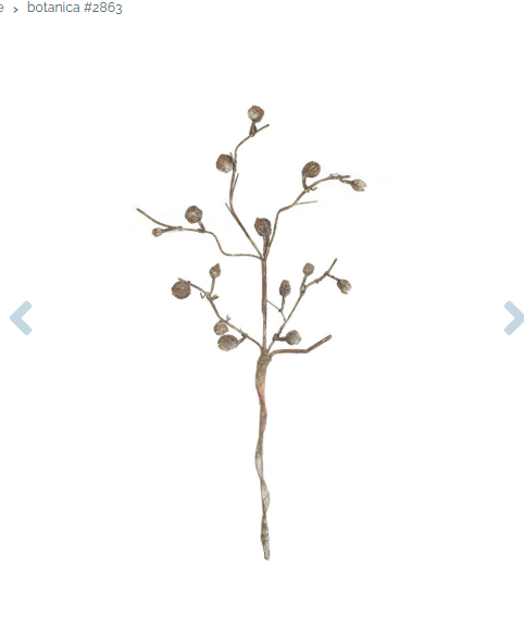 Pod Branch