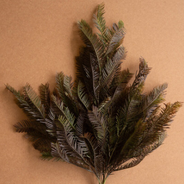 Dark Fir Spray