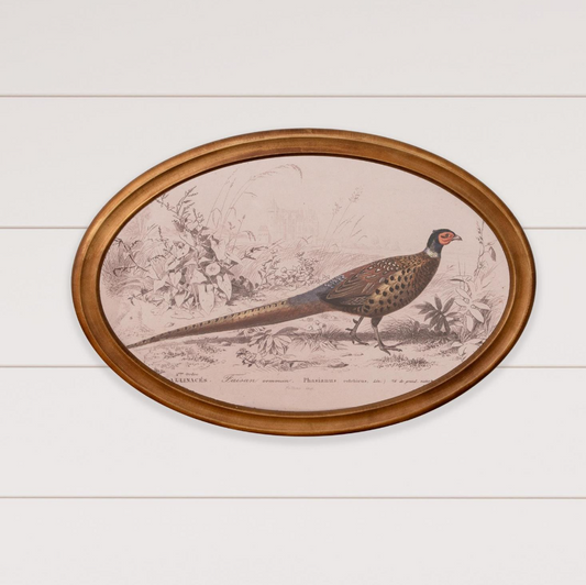 Framed Pheasant