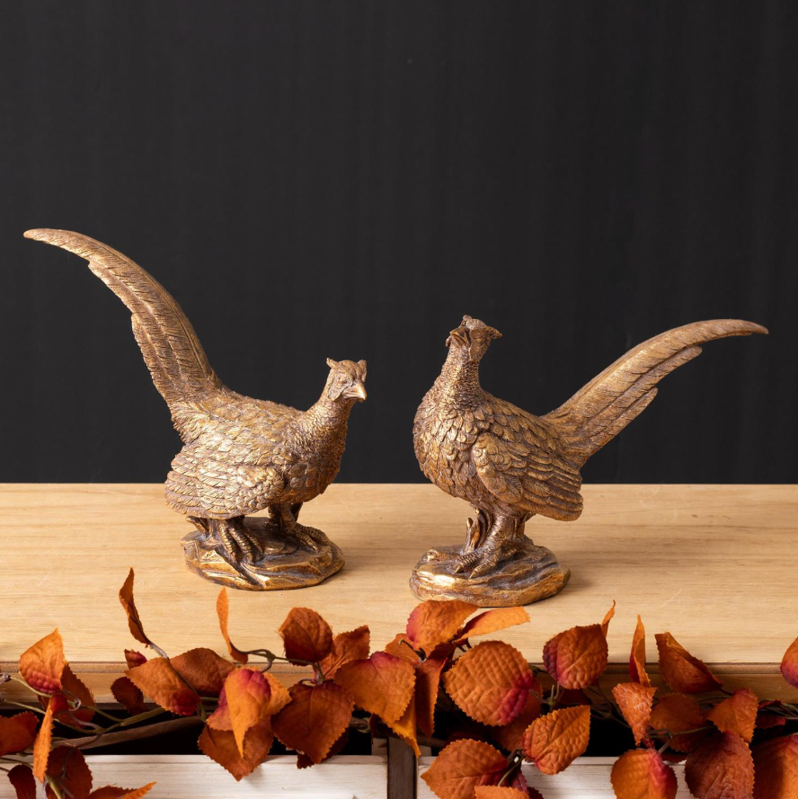 Gold Pheasant - 2 Styles