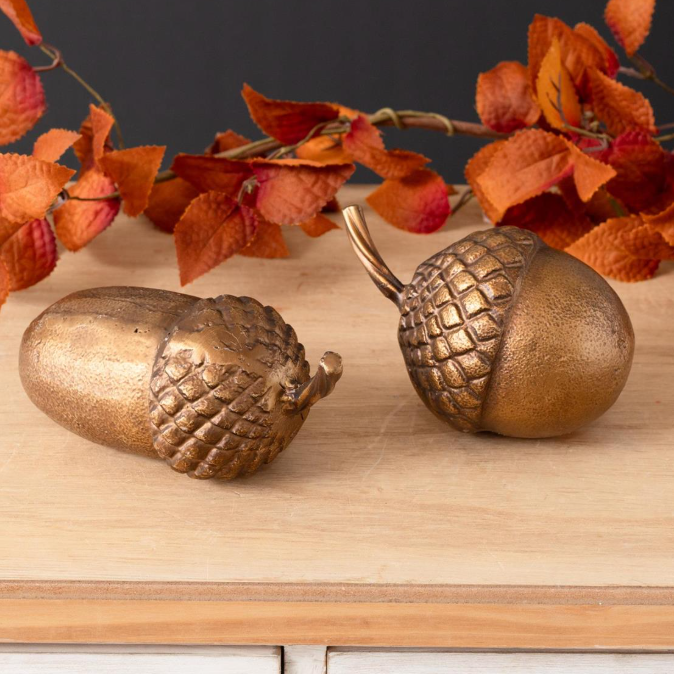 Brass Finish Acorn