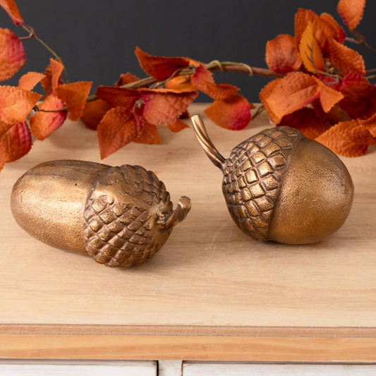 Brass Finish Acorn