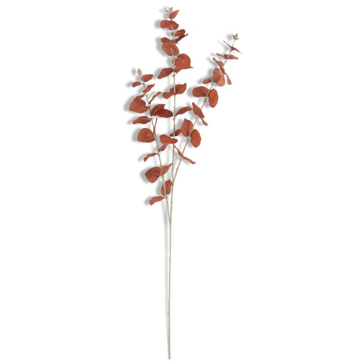 BR/OR Eucalyptus Spray
