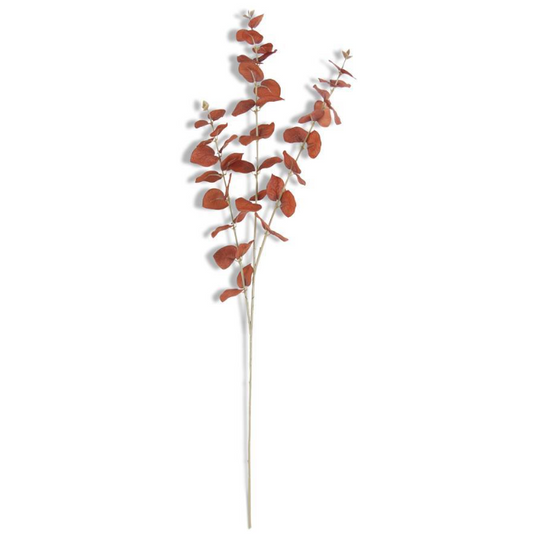 BR/OR Eucalyptus Spray
